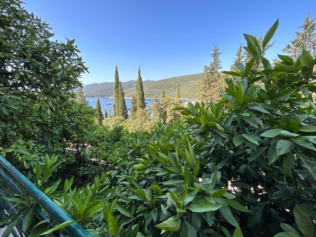 Apartment Near The Sea 650 غاباس المظهر الخارجي الصورة
